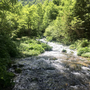 Vorschaubild zur Seite Atem und Meditation