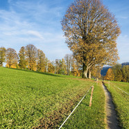 Vorschaubild zur Seite IN DIE STILLE GEHEN - QI GONG FÜR INNERE RUHE UND LEBENSKRAFT